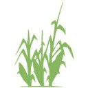 Agricultura de Precisão