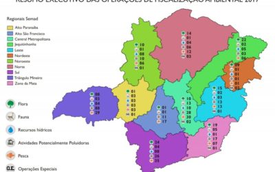 fiscalização ambiental minas gerais