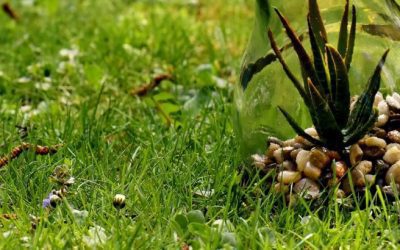 sustentabilidade ambiental