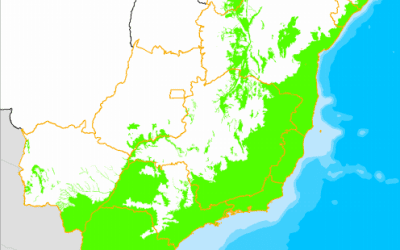 Desmatamento da Mata Atlântica