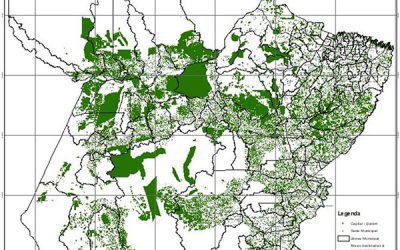 Cadastro Ambiental Rural Pará