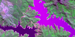 Imagem de satélite RapidEye