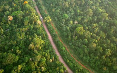 serviços ambientais imagens de satélite