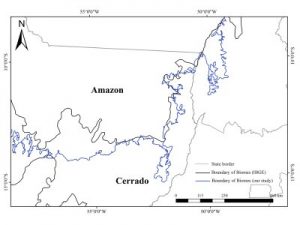amazônia mapeamento