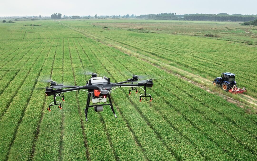 Mapeamento aéreo com drone